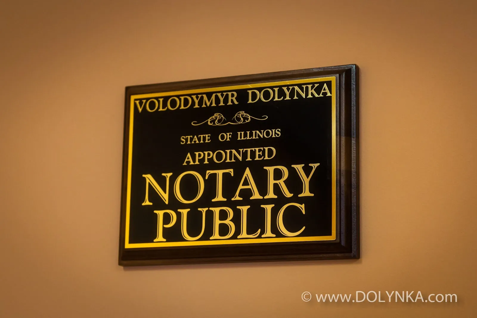 Dolynka Ukrainian-American Consulting - Photo 4