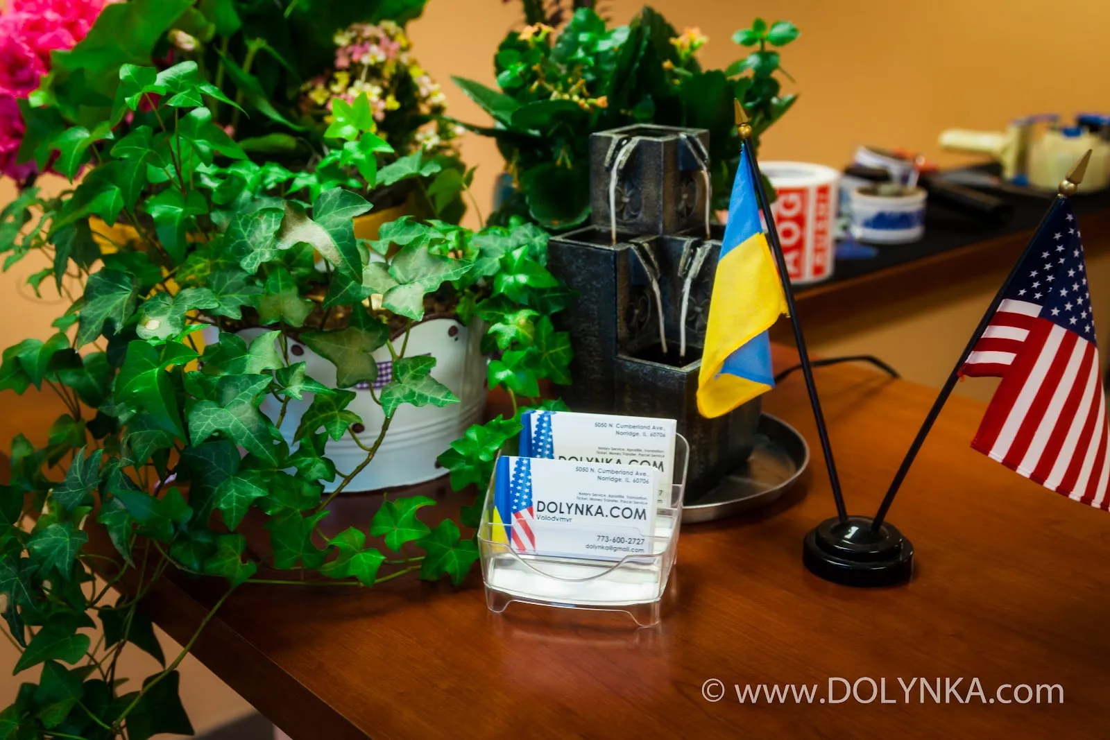 Dolynka Ukrainian-American Consulting - Photo 5