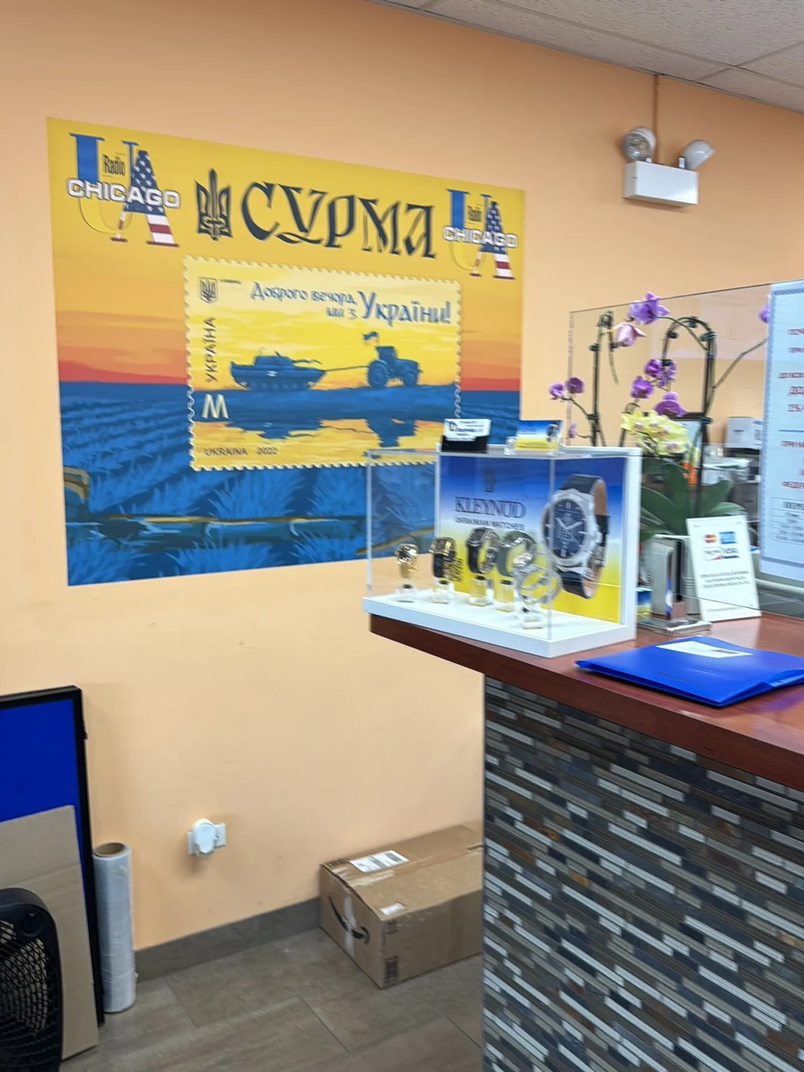 Dolynka Ukrainian-American Consulting - Photo 6