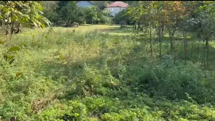 1600 sq.m. land for sale in Gonio - Photo 2
