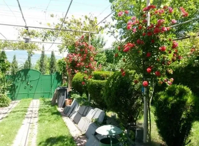 House for rent in Mtskheta region - Photo 2