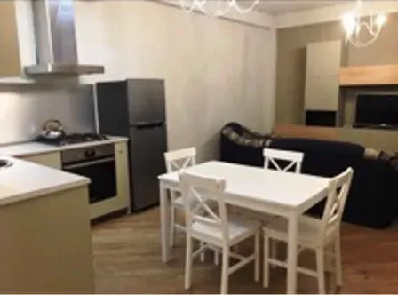 Apartment for rent in Tbilisi, Vake - Photo 1