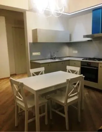 Apartment for rent in Tbilisi, Vake - Photo 3