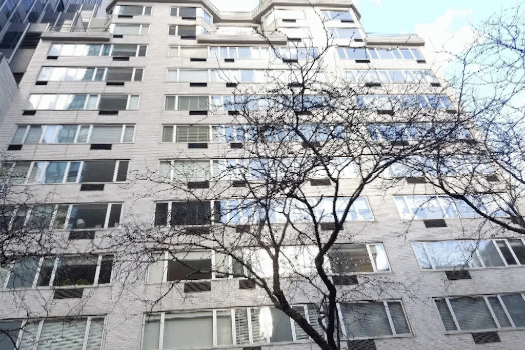 333 E 46TH Street 2G - Photo 9