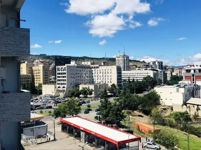 Apartment for rent in Tbilisi, Krtsanisi - Photo 8