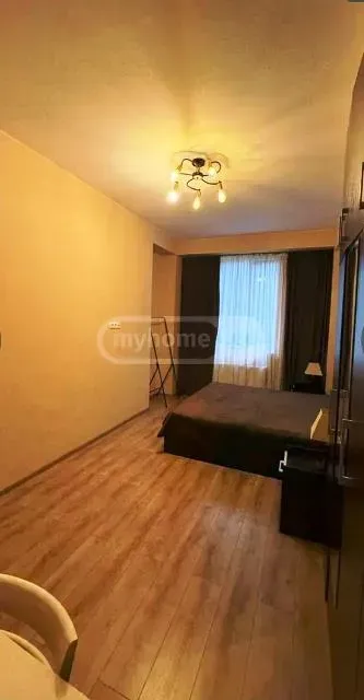 Apartment for rent in Tbilisi, Vake - Photo 6